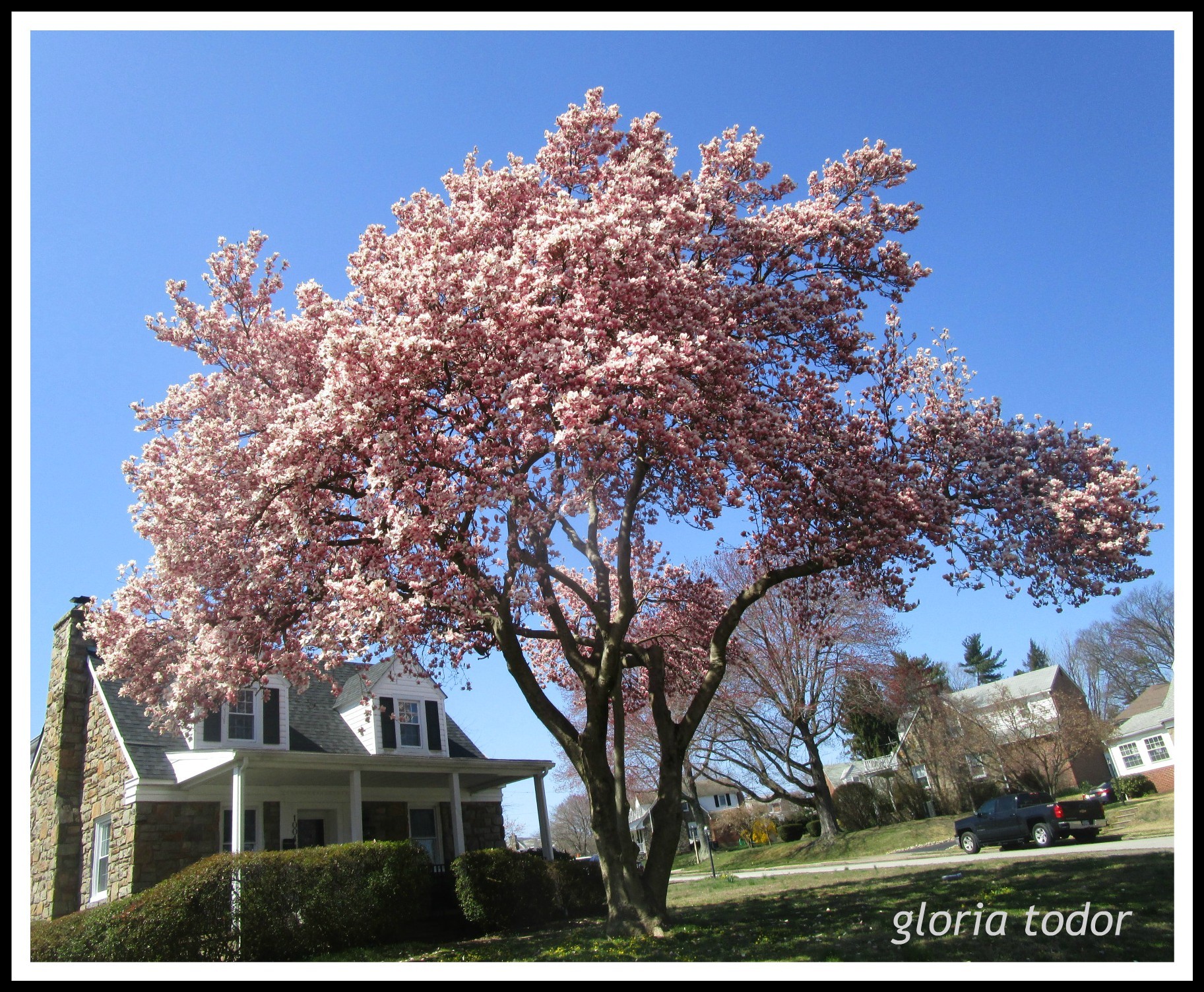 Springfield PA Houses Sold March 2020 Delaware County